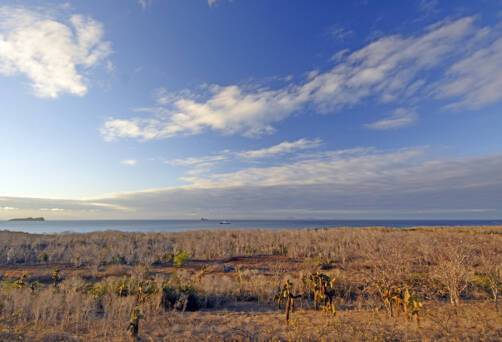 Dragon Hill (Santa Cruz)