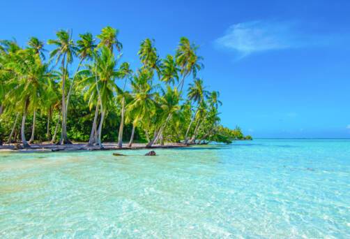 Moto Iriru, Raiatea, French Polynesia