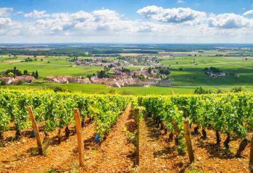 Burgundy, France