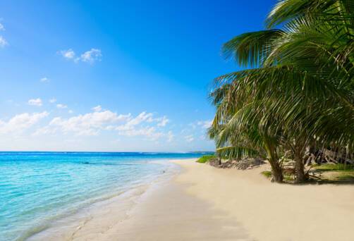 Costa Maya (Mahahual), Mexico