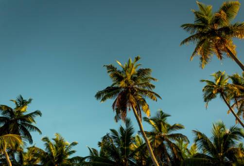 Alphonse Atoll, Seychelles