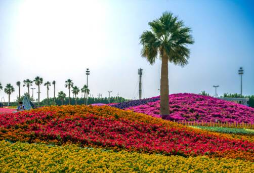 Yanbu Al Bahr, Saudi Arabia