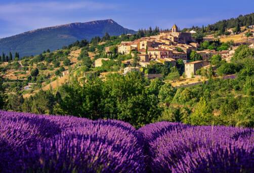 Chateauneuf-du-Pape, France