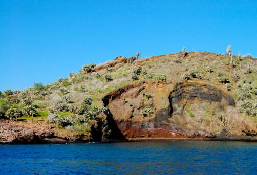 Champion Islet, Floreana
