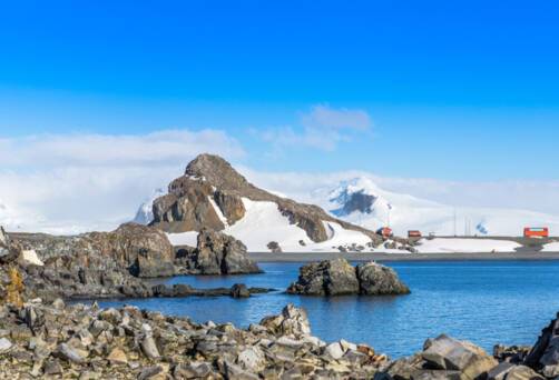 Half Moon Island, Antarctica