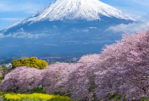 A view of Mount Fuji