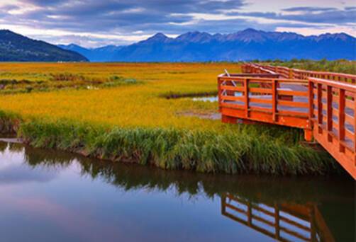 Potter Marsh Wildlife Viewing Boardwalk in Anchorage