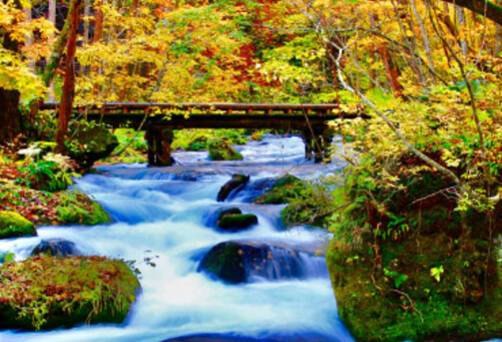A view from Oirase Stream during Autumn