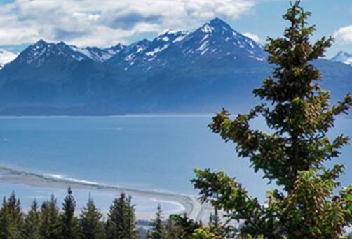 A panoramic view of Homer