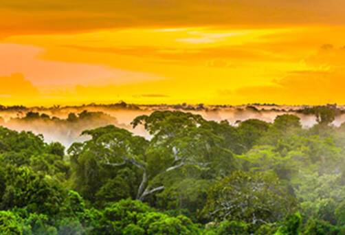 A view of the sunset over the Amazon