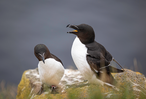 King William Island, Canada