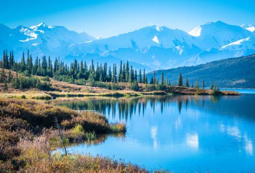 Denali National Park, Alaska