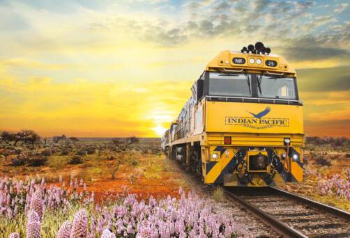 Indian Pacific train