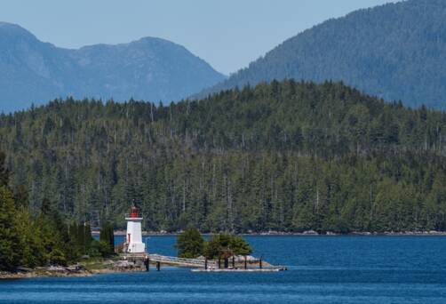 Scenic cruising Bella Bella