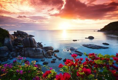 Cruises to Koh Samui, Thailand