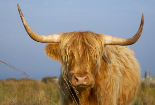 Lundy Island, United Kingdom