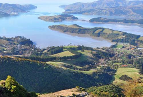 A panoramic view of Lyttelton