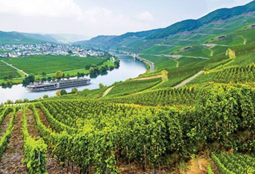 Scenic Ruby, Scenic River Cruises