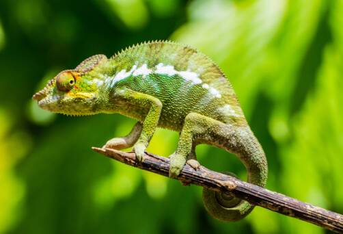 Andoany (Hell-Ville), Nosy-Be, Madagascar