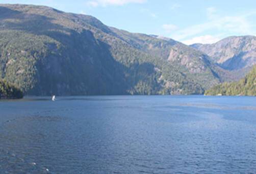 A panoramic view of Rudyerd Bay