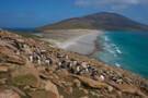 Saunders Island