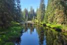 Prince of Wales Island