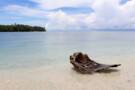 Ghizo Island, Solomon Islands