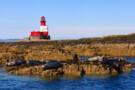 Farne islands