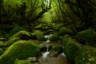 Anbo, Yakushima Island
