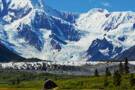 Wrangell National Park