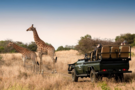 Cape Town, South Africa ★Game Drive Excursion★