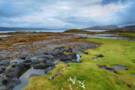Sound of Mull, Scotland