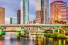 A panoramic view of Tampa