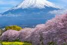 A view of Mount Fuji