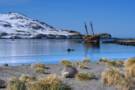 South Georgia Island