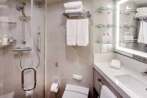 Standard Inside Bathroom, Queen Anne, Cunard - Image based on an IE grade, configuration may differ
