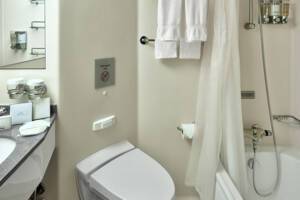 Ocean View Stateroom Bathroom, Eurodam