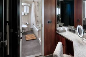 Neptune Suite, Nieuw Amsterdam