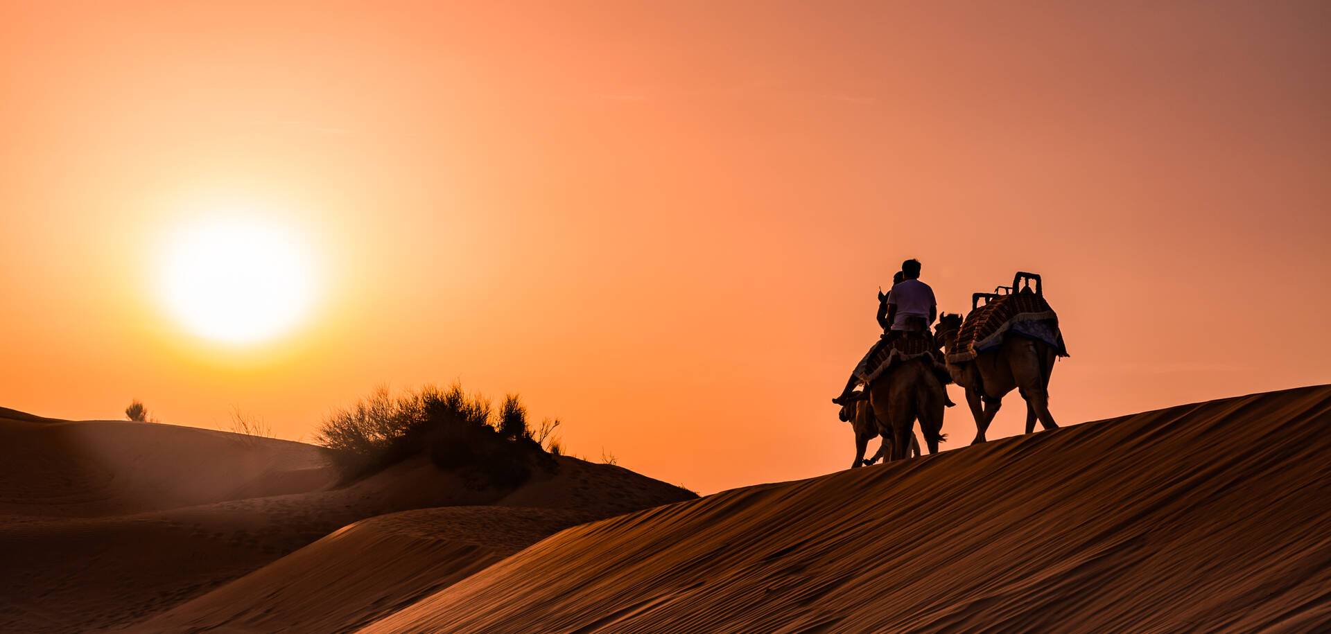 Sand dune, Dubai