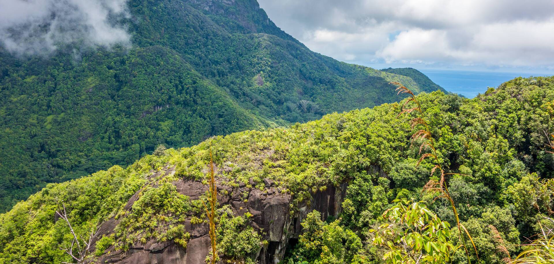 Morne Seychellois National Park
