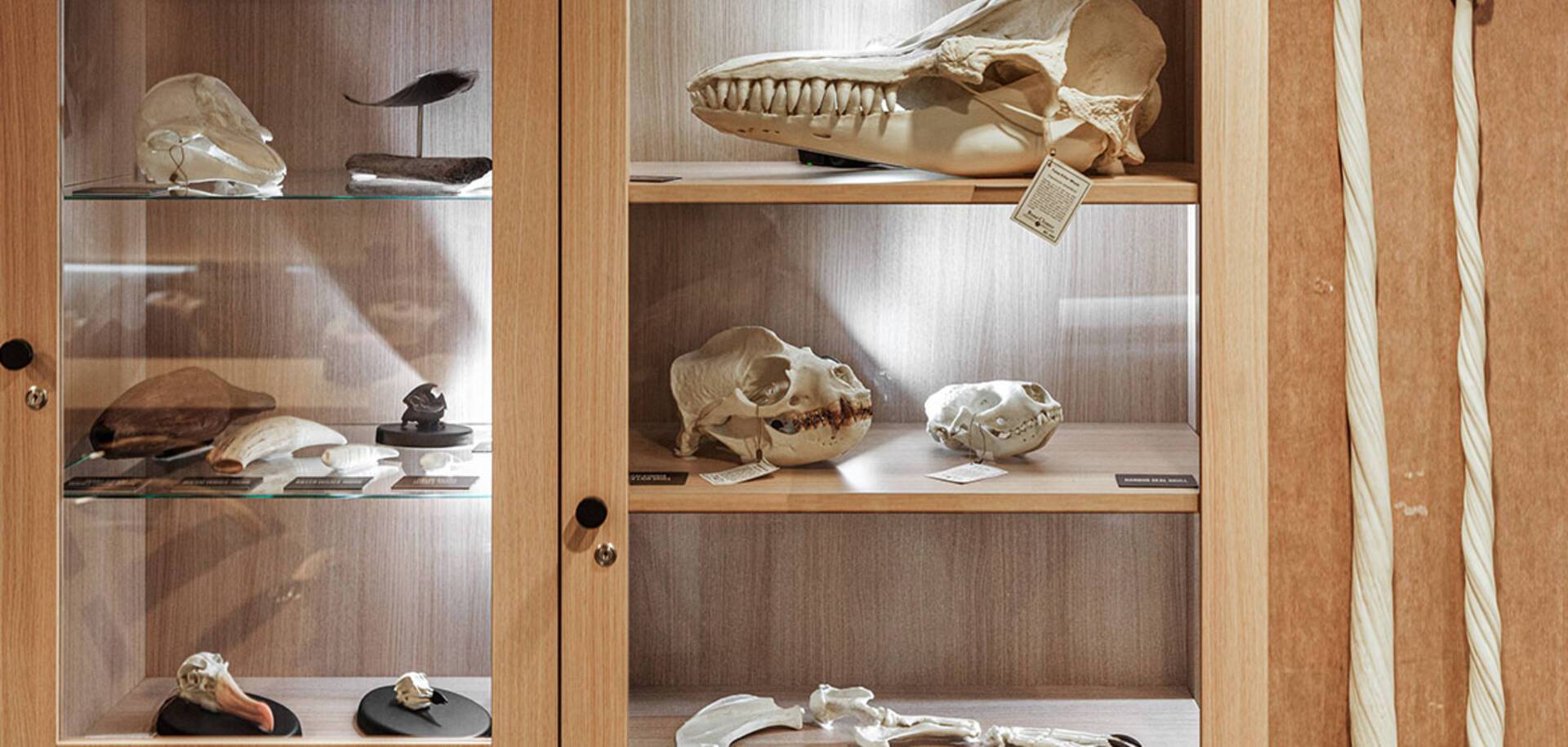 Science Centre on MS Fram