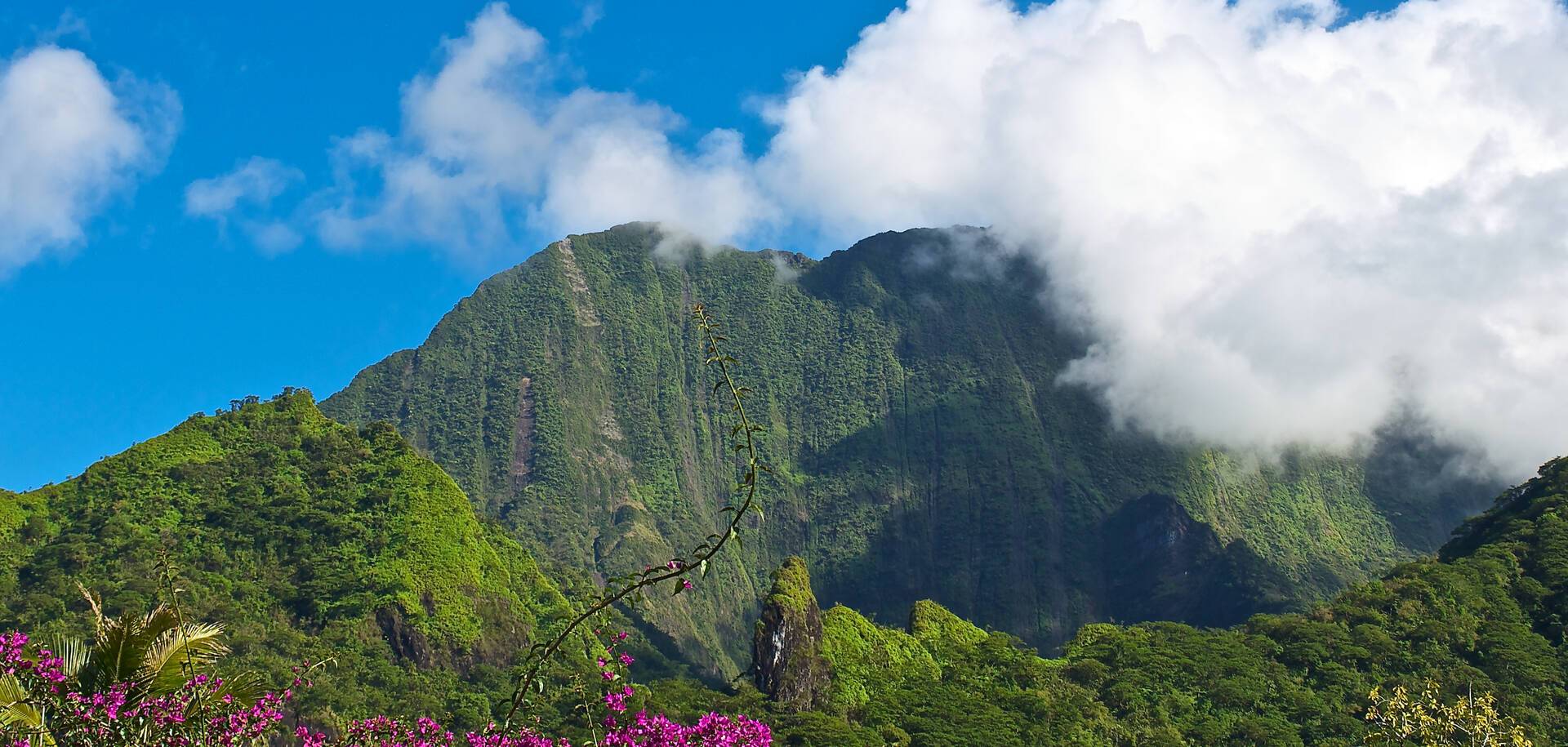 Flora of Polynesia, Tahiti