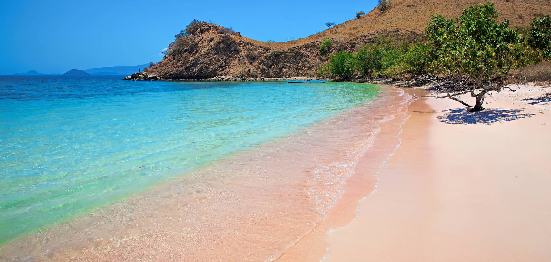 Pink Beach in Komodo National Park