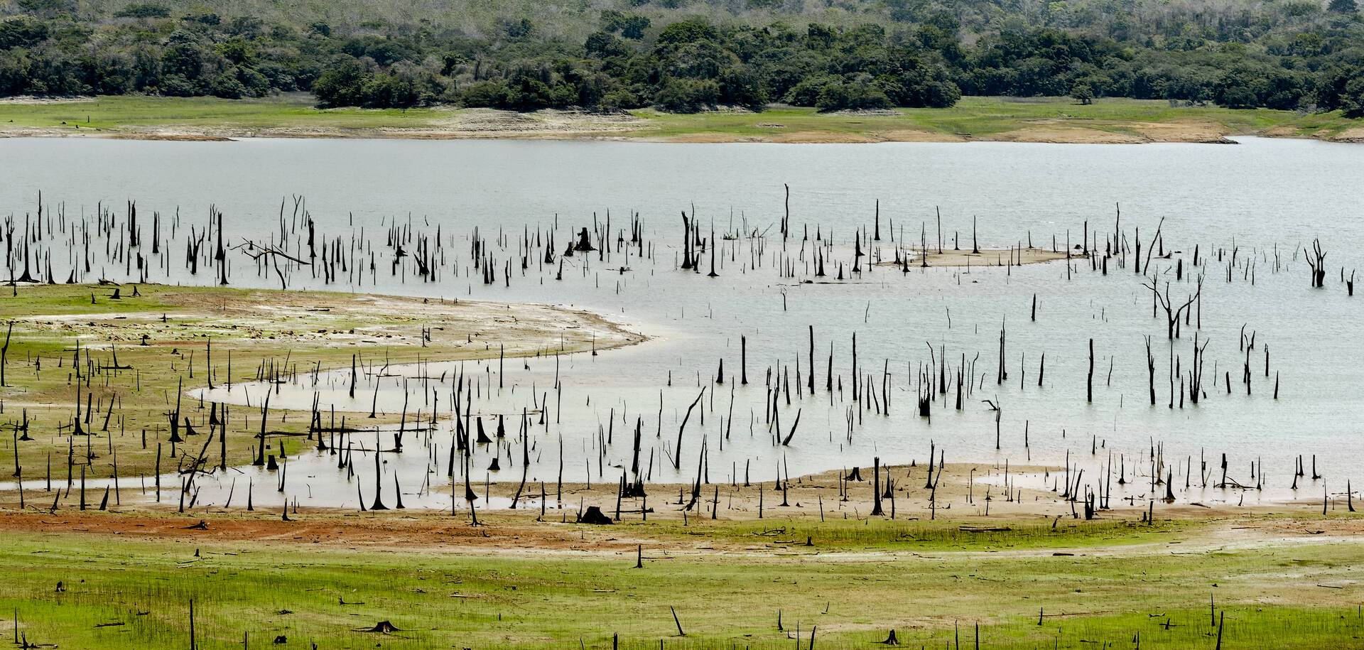 Madden Lake, Metropolitan Natural Park