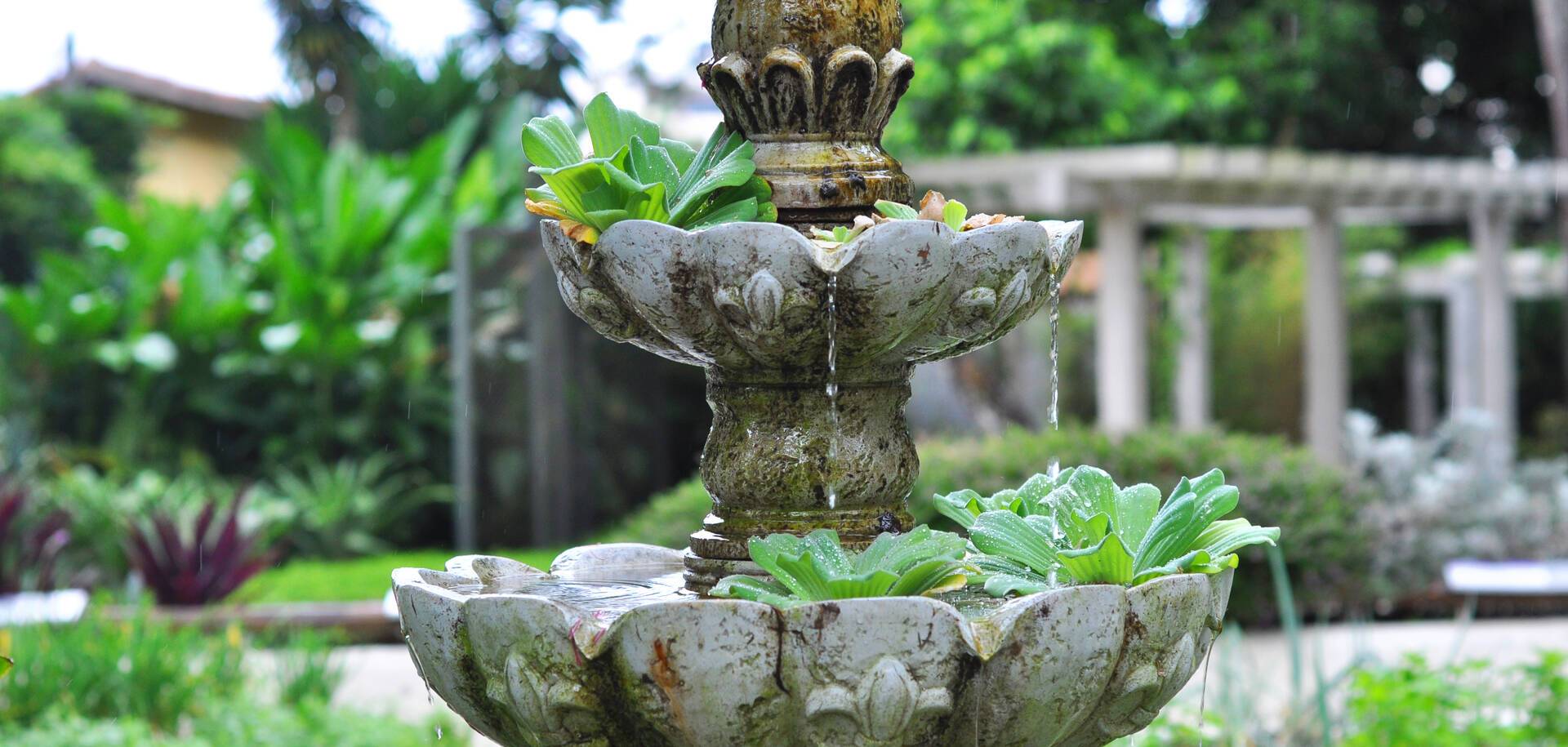 Rio de Janeiro, Jardi Botanico