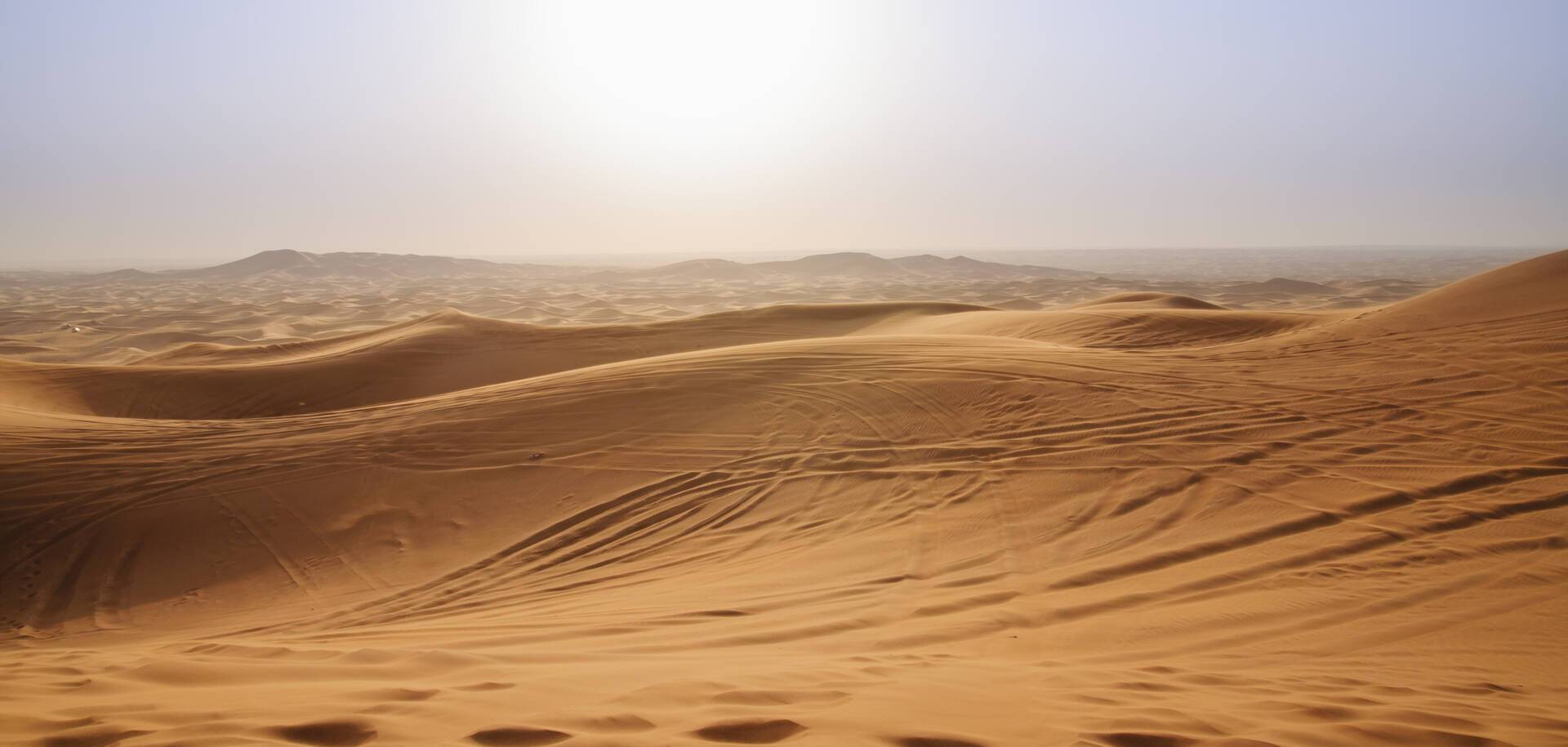 Dunes, Abu Dhabi, UAE