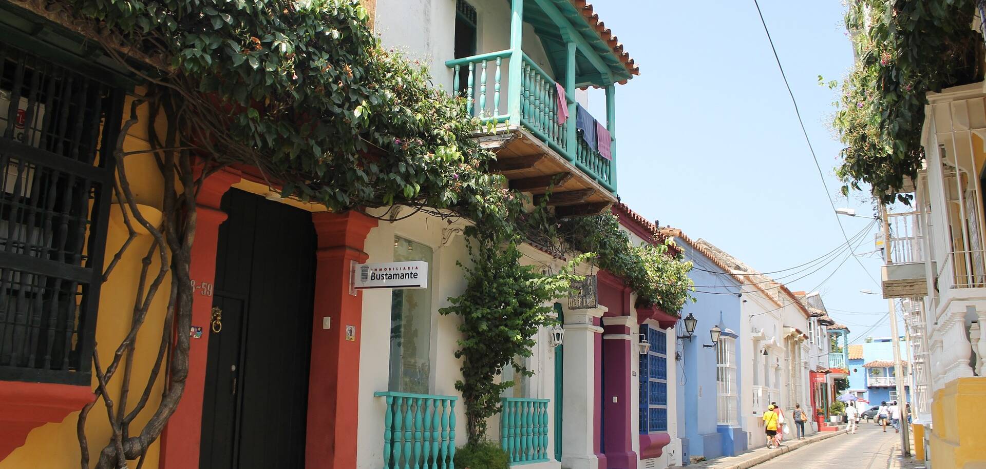Cartagena Colombia Street Flower Colorful Sea