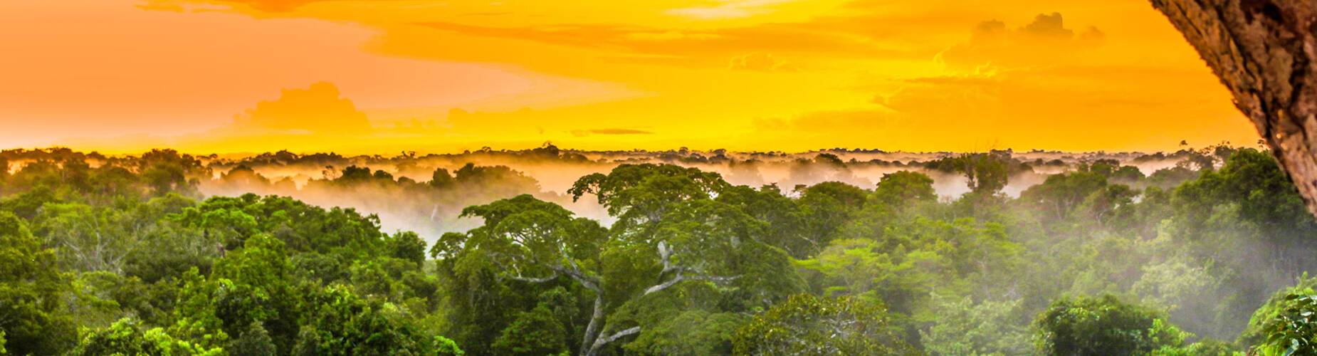 A view of the sunset over the Amazon