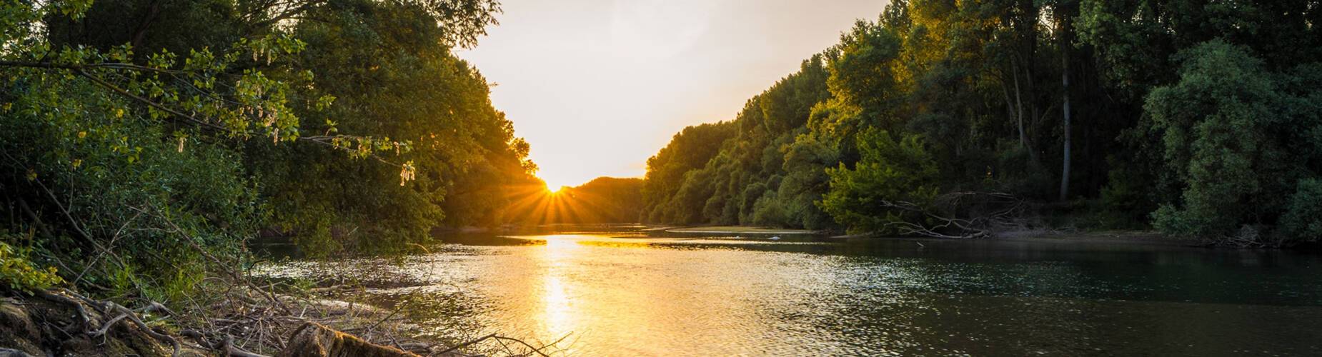 The Rhine River at Germersheim