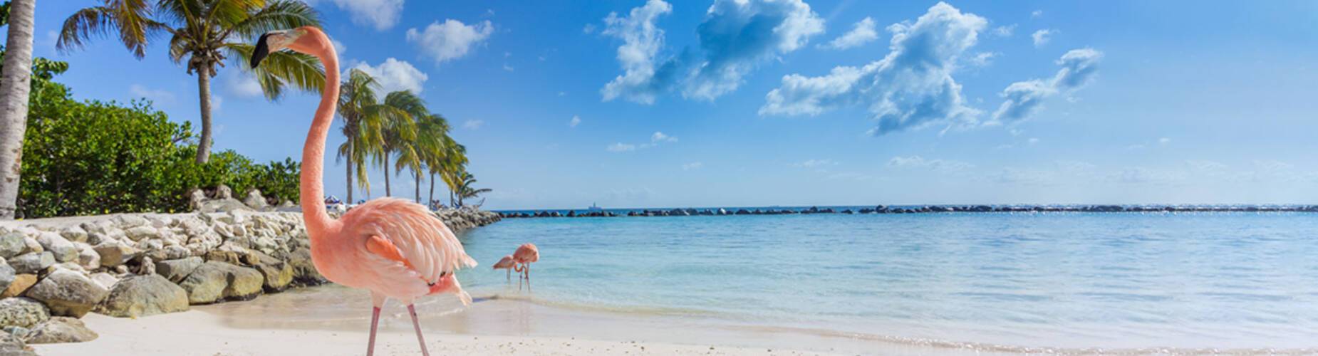 Aruba